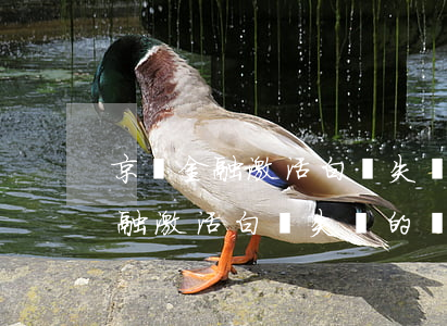 京東金融激活白條失敗怎么回事，解決京東金融激活白條失敗的問題，你需要知道這些