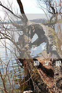 京東金融白條欠200(京東金融白條欠款沒綁定銀行卡怎么辦)