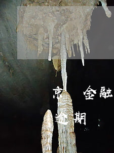 京東金融白條用了也沒有逾期(如果京東白條逾期)