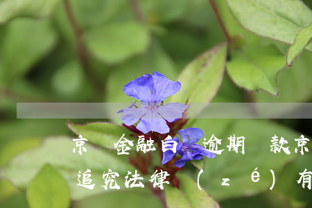京東金融白條逾期條款(京東金融白條逾期被追究法律責(zé)有什么后果)