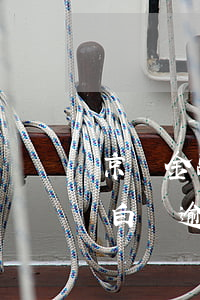 京東金融白條逾期被凍結了怎么辦(京東金融白條逾期被凍結了怎么辦)