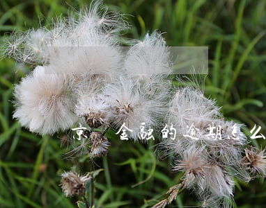 京東金融的逾期怎么解決