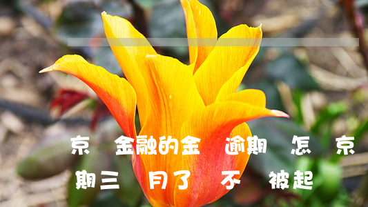 京東金融的金條逾期會怎樣 京東金融金條逾期三個月了,會不會被起訴