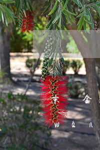 京東金融網(wǎng)貸合法嗎（其他網(wǎng)貸逾期影響京東金融嗎）