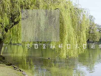 京東金融解凍（京東逾期解凍）