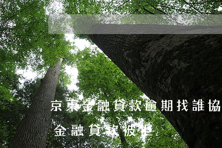 京東金融貸款逾期找誰協(xié)商(京東金融貸款被拒)
