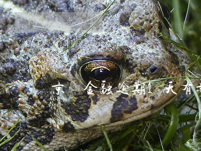 京東金融逾期1天有影響嗎