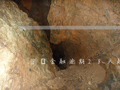 京東金融逾期28天起訴