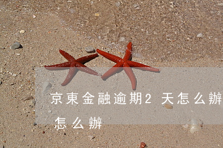 京東金融逾期2天怎么辦（京東金融逾期2天怎么辦）