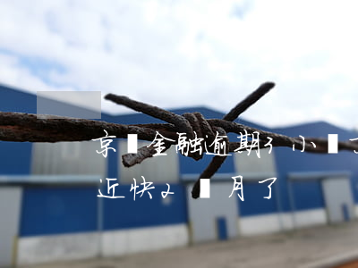 京東金融逾期3小時(京東金融幾百逾期了將近快2個月了)