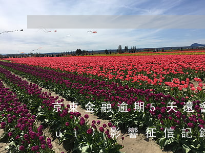 京東金融逾期5天還會(huì)不會(huì)影響征信記錄（京東金融逾期征信）