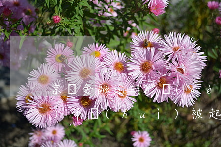 京東金融逾期6個(gè)月了,會(huì)不會(huì)被起訴（京東金融省唄逾期后果）