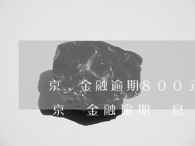 京東金融逾期800元會(huì)怎么樣(京東金融逾期罰息達(dá)到一萬元40一天,高不高)
