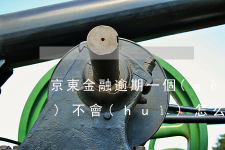 京東金融逾期一個(gè)星期會(huì)不會(huì)怎么樣（京東理財(cái)有過逾期嗎）