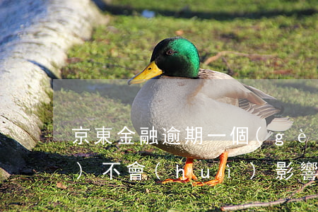 京東金融逾期一個(gè)月還會(huì)不會(huì)影響征信記錄（京東逾期影響征信）