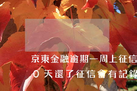 京東金融逾期一周上征信嗎 京東金融逾期10天還了征信會有記錄嗎