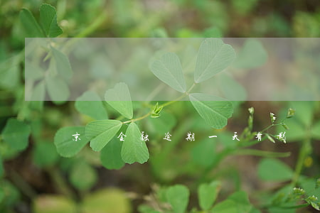 京東金融逾期一天有影響不