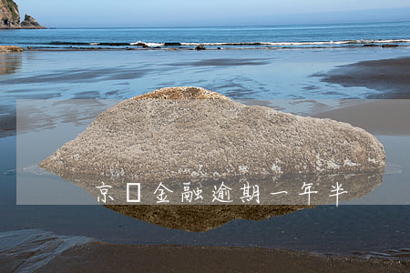 京東金融逾期一年半