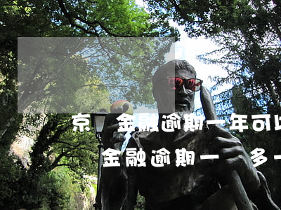 京東金融逾期一年可以做飛機(jī)么(京東金融逾期一萬多一百多天了會不會坐牢)