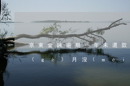 京東金融逾期一年未還款(欠款京東金融4個(gè)月沒(méi)有還款后果很嚴(yán)重嗎)