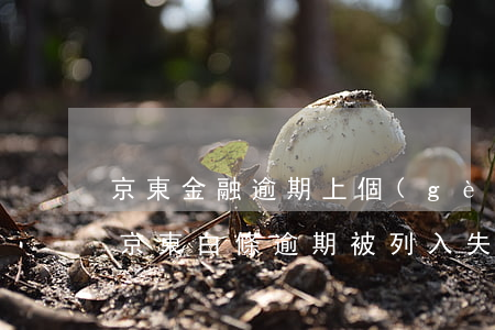 京東金融逾期上個(gè)人信用黑名單-京東白條逾期被列入失信人名單