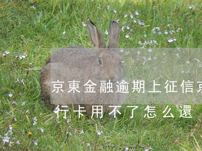 京東金融逾期上征信(京東金融逾期上征信銀行卡用不了怎么還)