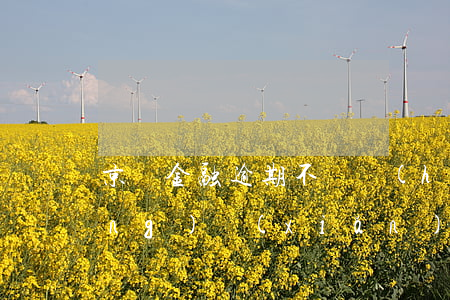 京東金融逾期不還會(huì)有風(fēng)險(xiǎn)嗎(京東金融逾期三個(gè)月了,會(huì)不會(huì)被起訴)