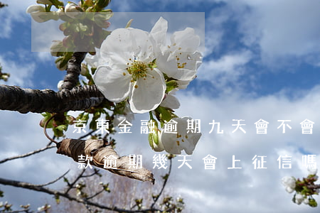 京東金融逾期九天會不會上征信(京東金融貸款逾期幾天,會上征信嗎)