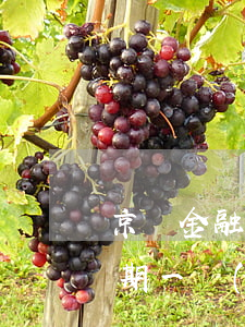 京東金融逾期了12天有影響嗎(京東金融逾期一個(gè)多月了會(huì)有什么后果?)