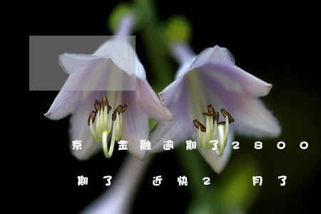 京東金融逾期了2800多(京東金融幾百逾期了將近快2個月了)