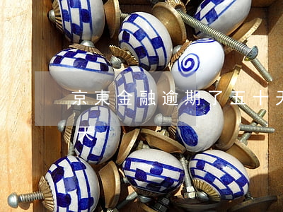 京東金融逾期了五十天(京東金融逾期了五十天)
