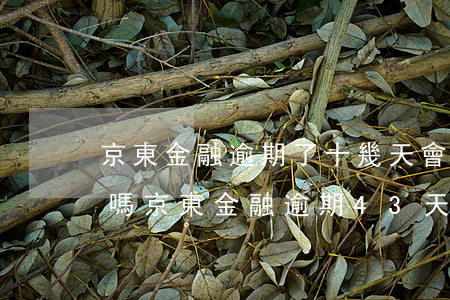 京東金融逾期了十幾天會(huì)被起訴嗎?（京東金融逾期43天嚴(yán)重嗎）