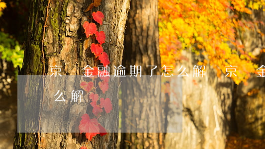 京東金融逾期了怎么解決 京東金融逾期了怎么解決