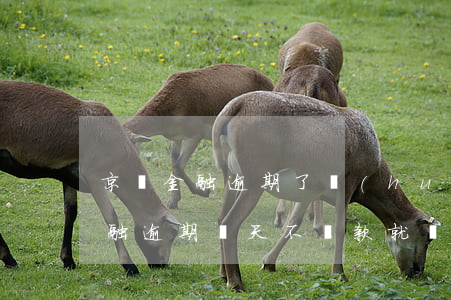 京東金融逾期了會(huì)被告嗎 京東金融逾期幾天不還款就會(huì)被起訴