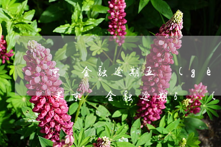 京東金融逾期五個(gè)月了會有什么后果?（京東金融逾期5個(gè)月）