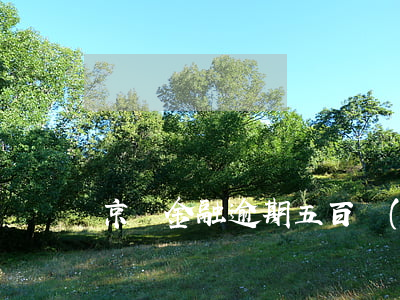 京東金融逾期五百會(huì)上門嗎