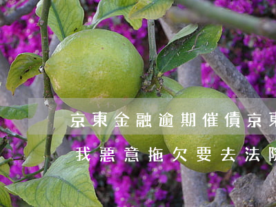 京東金融逾期催債(京東金融欠款逾期,催收說我惡意拖欠,要去法院起訴我)