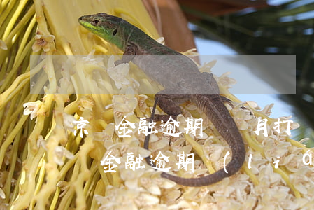 京東金融逾期兩個月打電話來說要起訴我（京東金融逾期聯(lián)系方式）