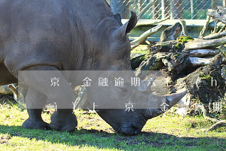 京東金融逾期六千會(huì)不會(huì)上門 京東金融逾期8000多,發(fā)信息說要上門調(diào)查了怎么辦