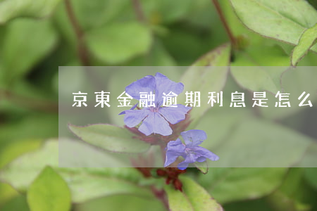 京東金融逾期利息是怎么回事