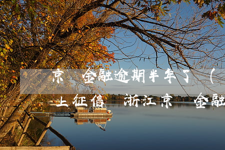 京東金融逾期半年了現(xiàn)在還上上征信嗎（浙江京東金融逾期多久上征信）