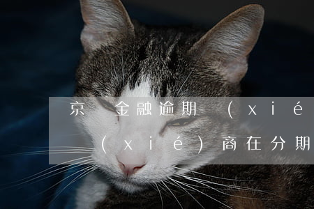 京東金融逾期協(xié)商(京東金融逾期協(xié)商在分期業(yè)務還款有什么方案)