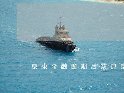 京東金融逾期后罰息(京東金融罰息減免)
