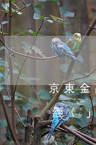 京東金融逾期后還上了(京東金融逾期兩天已經(jīng)還進(jìn)去了 下個月還能用嗎)