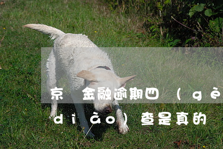 京東金融逾期四個(gè)月說要上門調(diào)查是真的嗎（京東金融逾期上門）