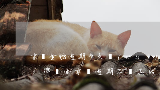 京東金融逾期多久會(huì)被發(fā)律師函(京東逾期不還真的會(huì)發(fā)律師函件來(lái)的么)