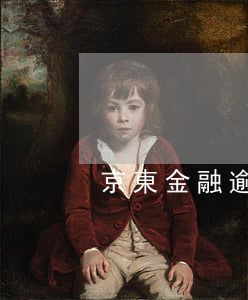京東金融逾期寄涵件怎么辦