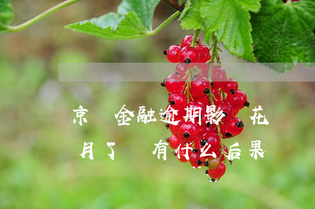 京東金融逾期影響花唄嗎(京東金融逾期五個月了會有什么后果?)