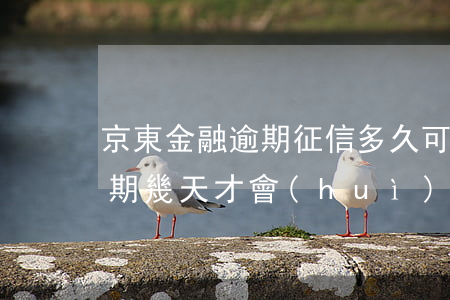 京東金融逾期征信多久可以消除(京東金融逾期幾天才會(huì)影響到個(gè)人征信)