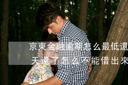 京東金融逾期怎么最低還款(京東金融逾期幾天還了怎么不能借出來了)